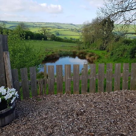 Eco Accommodation Cornflower Craven Arms Extérieur photo