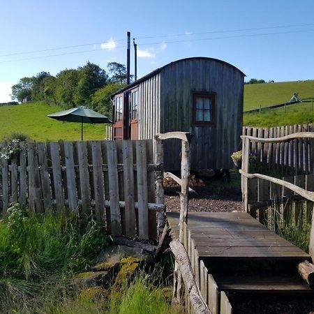 Eco Accommodation Cornflower Craven Arms Extérieur photo