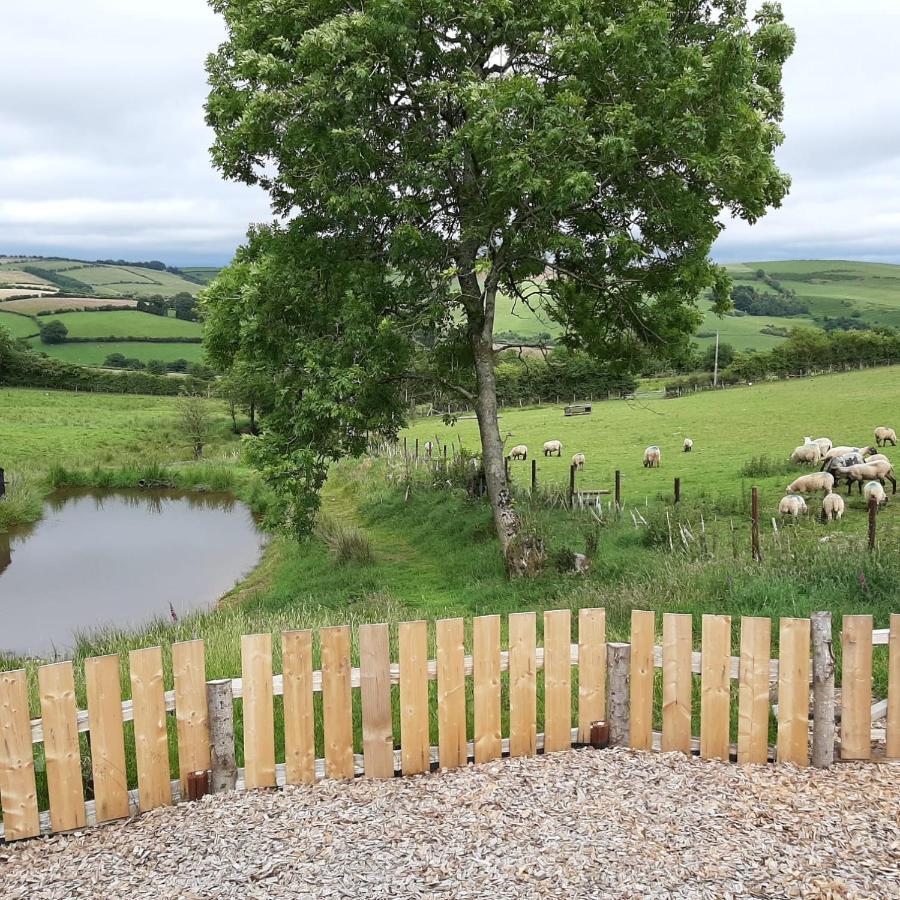 Eco Accommodation Cornflower Craven Arms Extérieur photo