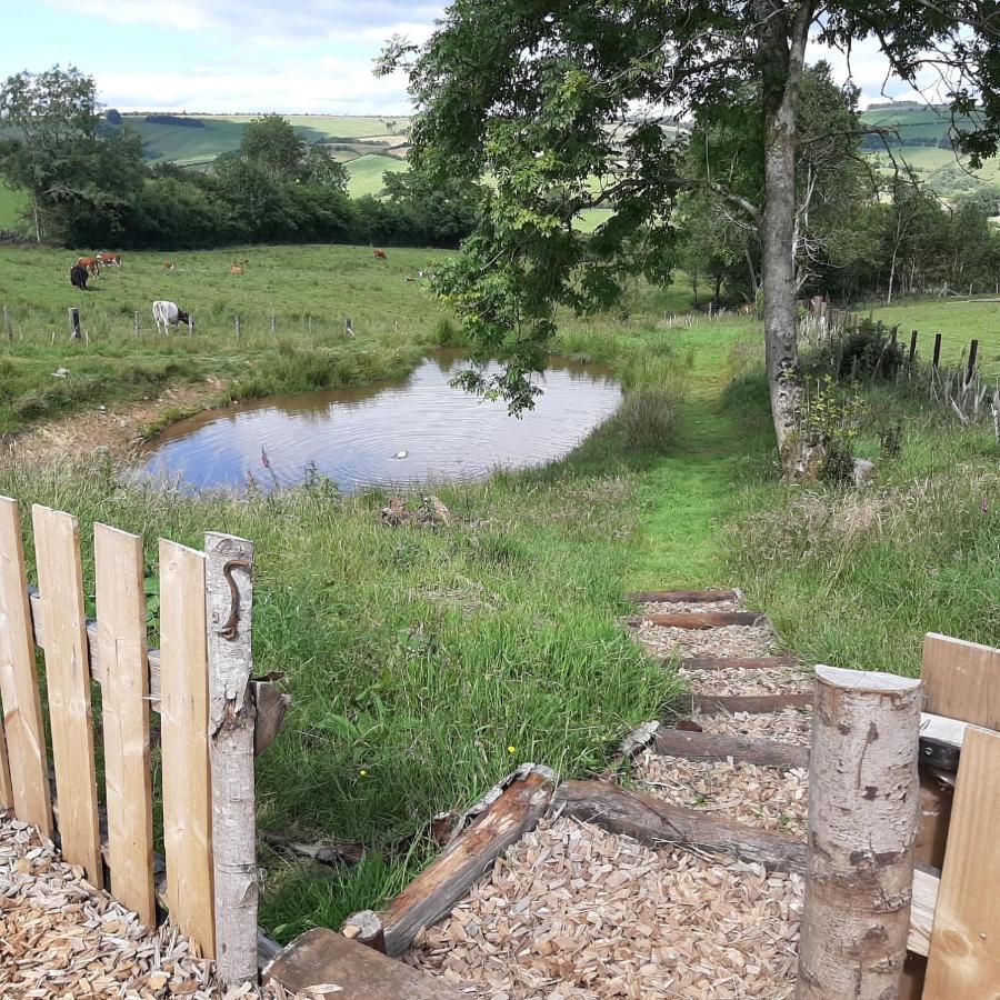 Eco Accommodation Cornflower Craven Arms Extérieur photo