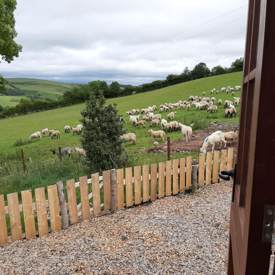 Eco Accommodation Cornflower Craven Arms Extérieur photo