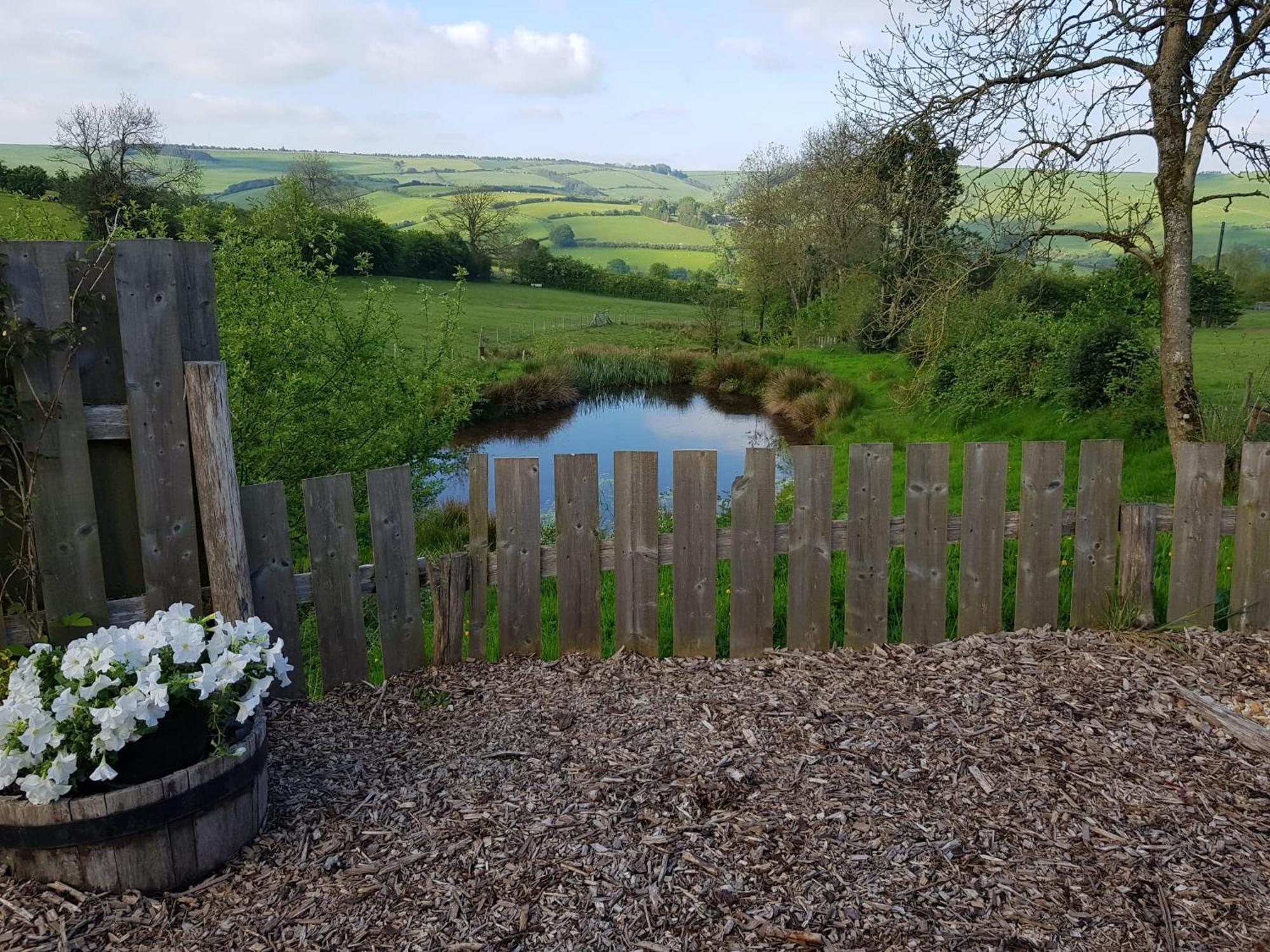Eco Accommodation Cornflower Craven Arms Extérieur photo