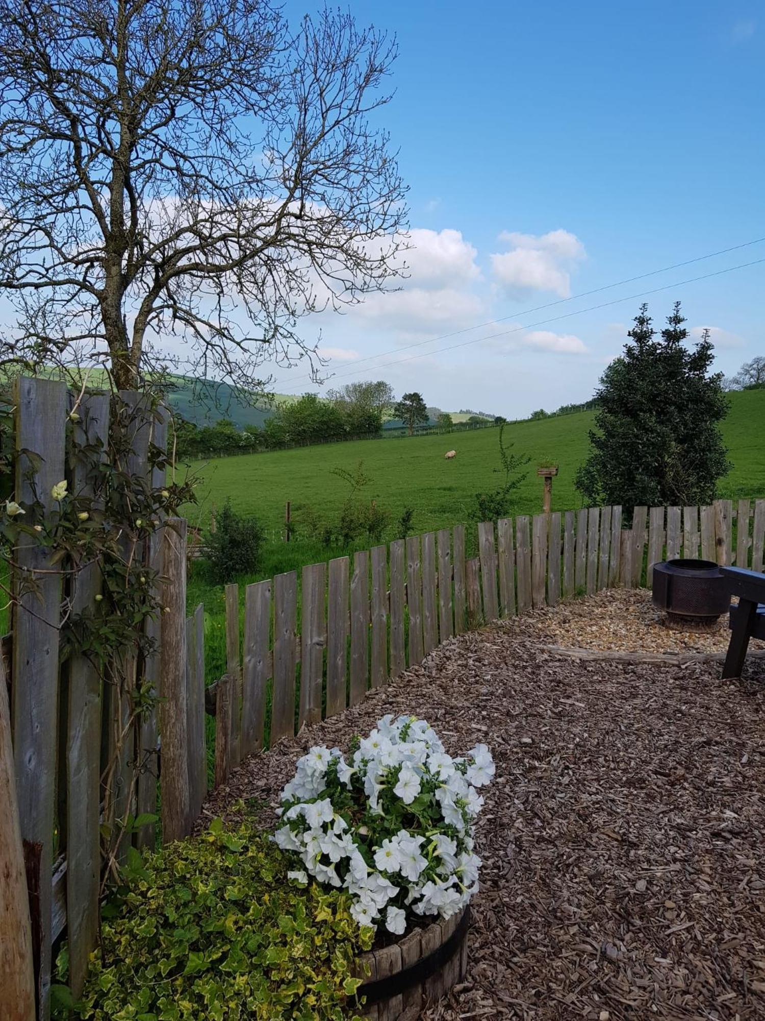 Eco Accommodation Cornflower Craven Arms Extérieur photo