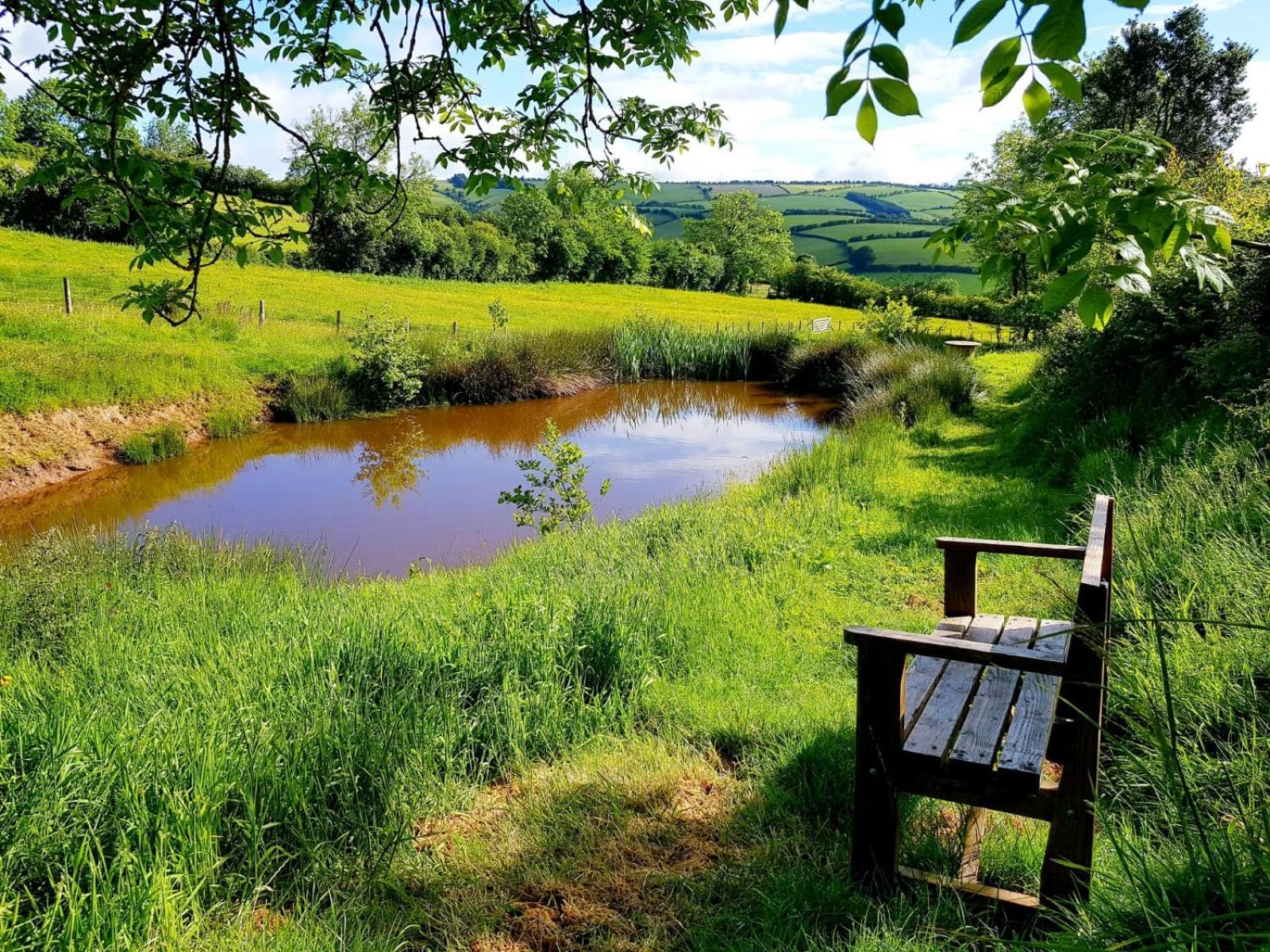 Eco Accommodation Cornflower Craven Arms Extérieur photo
